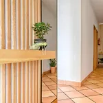 Clarisse's House Ii, A In Madeira Apartamento *