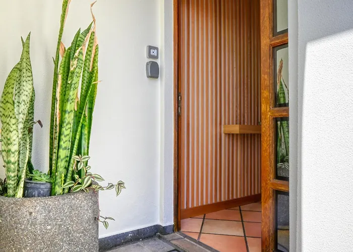 דירה Clarisse's House Ii, A In Madeira פונטה דו סול